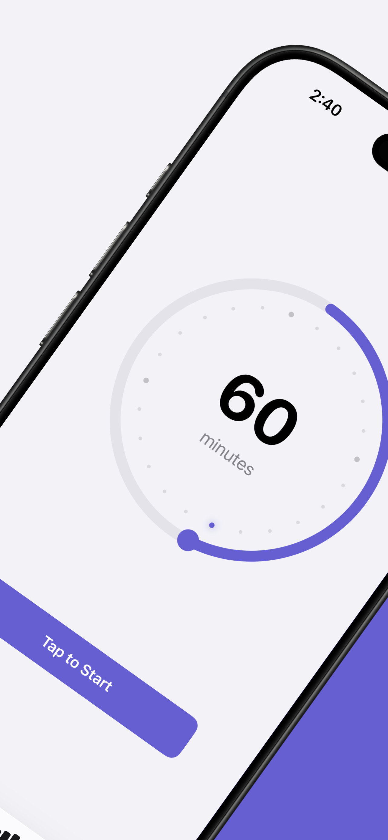 Purrfocus Focus Session